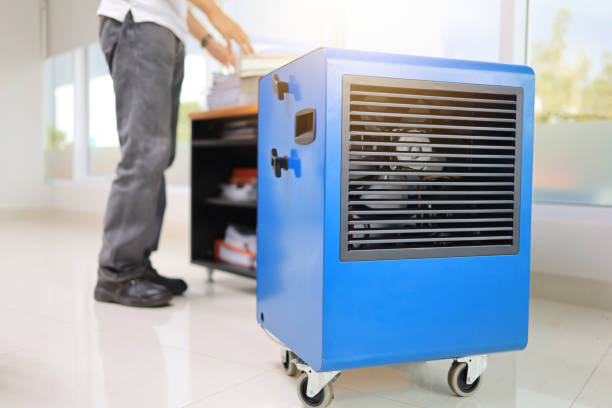 Best Biohazard Mold Removal  in Taylor, AL