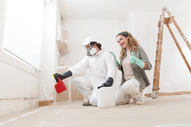 Best Basement Mold Removal  in Taylor, AL